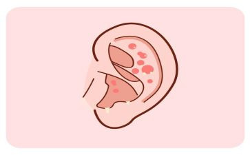 耳鼻喉科个人年度总结6篇