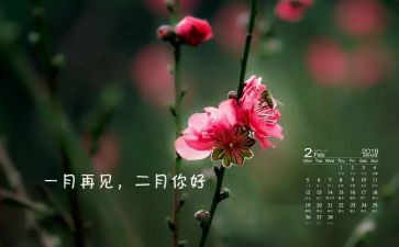 十二月教学心得6篇