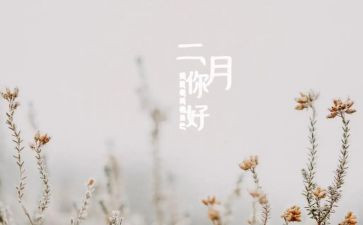 二月兰的读后感5篇
