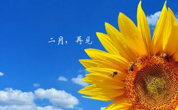第二月的工作总结推荐7篇