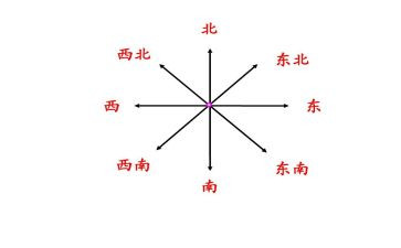 选对方向的作文7篇