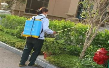 防治工作总结推荐8篇