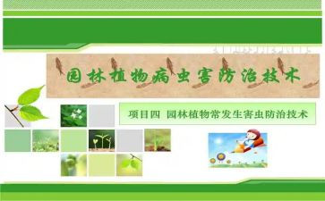 职业病防治法宣传周2024活动方案5篇