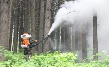 职业防治宣传周活动总结5篇