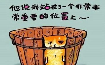工作总结及反思推荐7篇