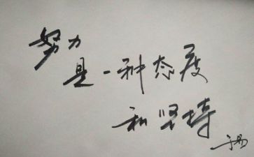 工作总结与反思范文6篇