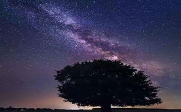 读了繁星春水的读后感模板6篇