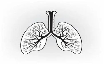 大班幼儿有关肺的教案优秀8篇