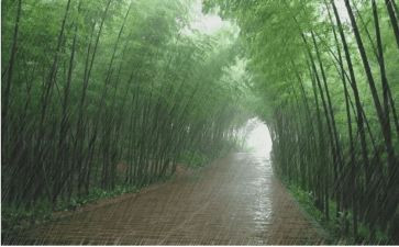 迎向风雨作文800字最新6篇