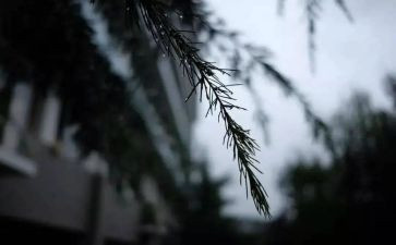风雨的作文精选5篇