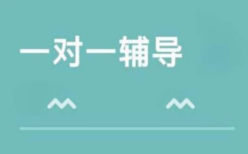 辅导心得体会模板5篇