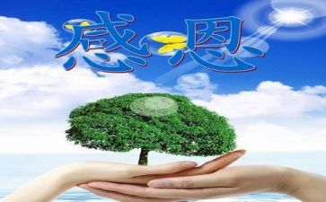 感恩心得800字8篇