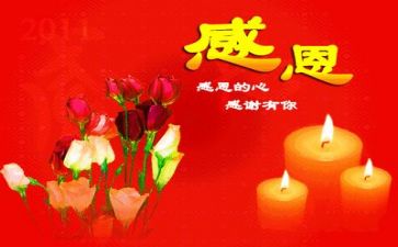 关于感恩的作文800字优秀6篇