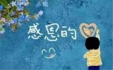 感恩父母实践活动心得体会6篇
