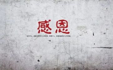 感谢教师演讲稿5篇