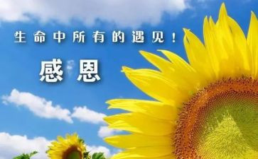感谢您作文5篇