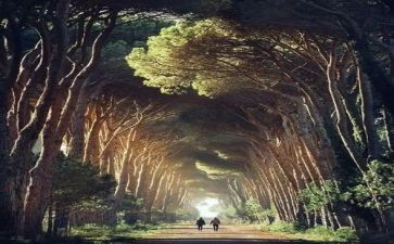 告别,母校作文5篇