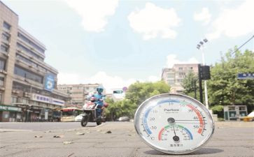 高温活动总结8篇