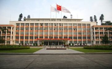 2024年高校教师年终工作总结6篇
