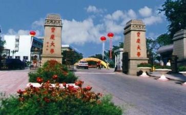2024年高校教师总结6篇