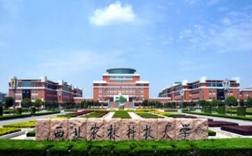 高校培训计划7篇