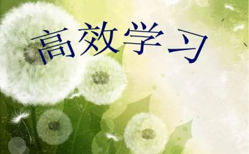 高效的心得体会6篇