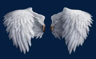 乘着的翅膀作文8篇