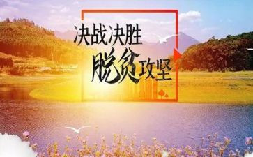 2023年脱贫攻坚帮扶工作总结8篇