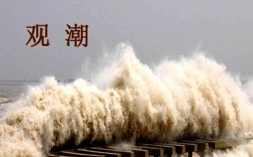 观潮读后感两百字通用8篇
