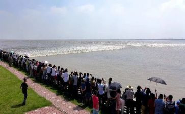 观潮读书心得体会8篇