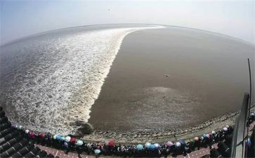 观潮读书心得体会优秀5篇