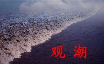 观潮读后感两百字优秀8篇