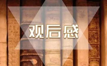 活动观后感7篇