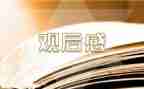 看足球的观后感模板5篇