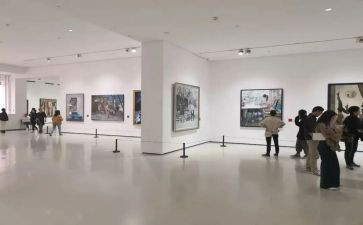 观展报告总结6篇