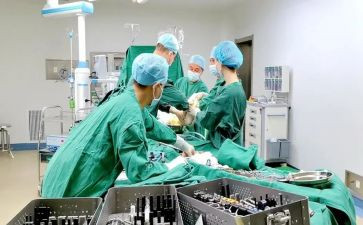 骨科副护士长述职报告7篇