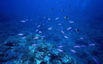 海底两万里的读后感500字优秀8篇
