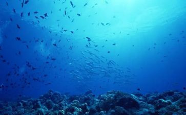 海底两万里读后感100字5篇