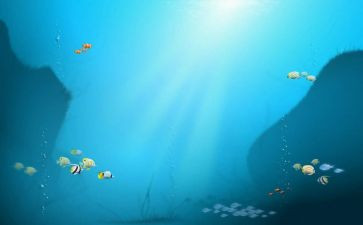 《海底》读后感精选7篇