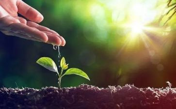 呵护作文通用7篇