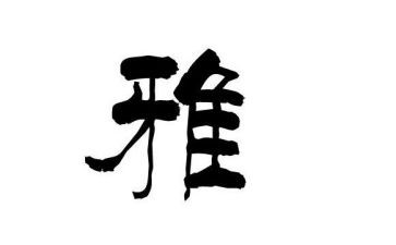 和雅少年事迹材料最新6篇