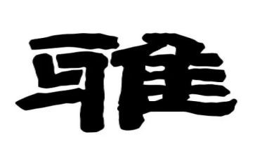 和雅少年事迹材料8篇