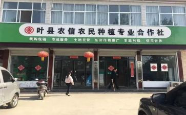 合作社签合同7篇
