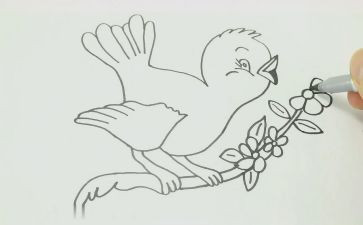 《画》优秀教案5篇
