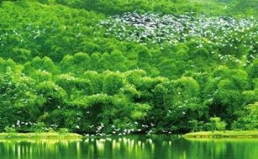护环境的演讲稿通用8篇