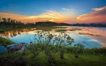 生态与环境心得6篇