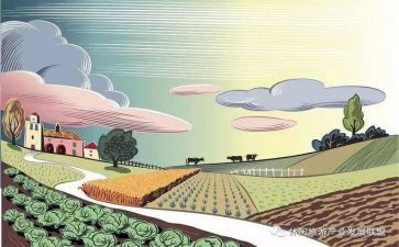 关于环境的作文800字8篇