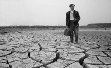 血和泪的呼唤观后感6篇