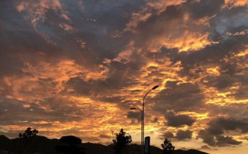 泪的呼唤观后感8篇