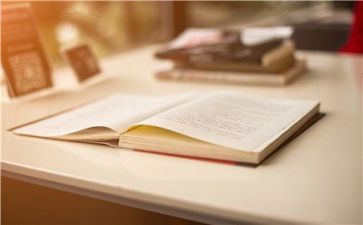 会计半年工作总结个人总结范文8篇